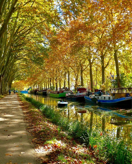 Canal du midi