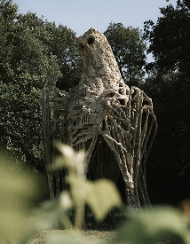 La Chouette Sud, Lionel Sabatté, 2025