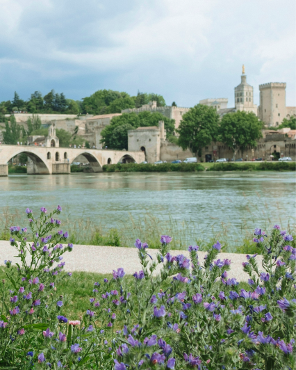Le pont d'avignon