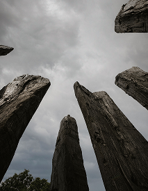 La Chouette Sud, Lionel Sabatté, 2025