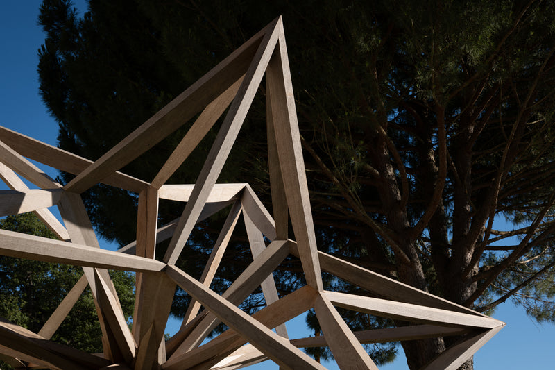 Frank Stella
<i>Étoile parmi les étoiles</i>