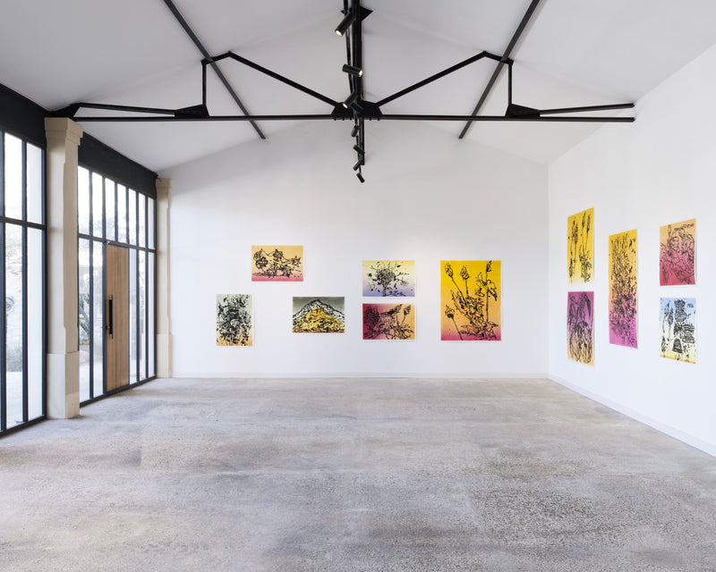 Rémy Jacquier <br><i>Changer d'aire</i>