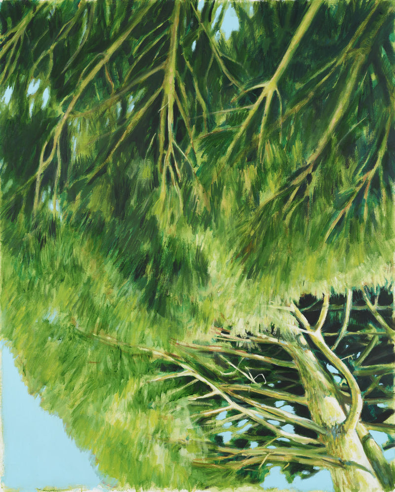 Jérémy Liron - Suite Panéry