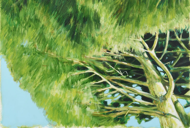 Rémy Jacquier<br> <i>Future</i>