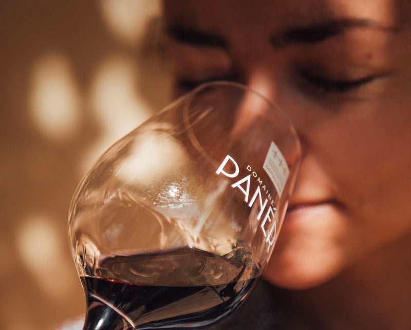 Visite privée du chai & initiation à la dégustation de nos vins & huiles les mardis.